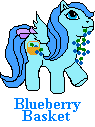 Blueberry Baskets