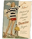 domino sugar booklet