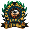 www.coplink.com