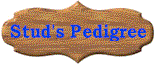 Stud's Pedigree