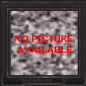 NO PICTURE AVAILABLE