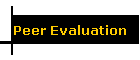 Peer Evaluation