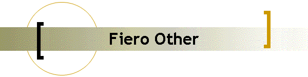 Fiero Other