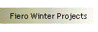 Fiero Winter Projects