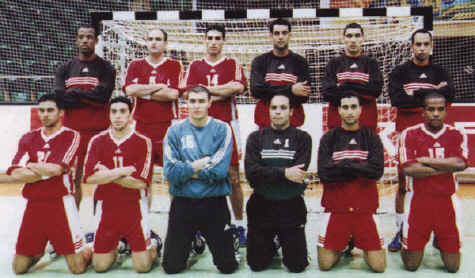Image result for paul tedman handball