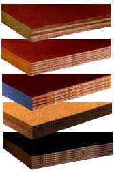 phenolic coated plywood