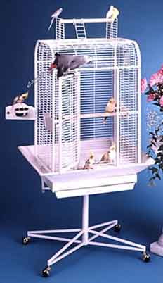 131 Bird Cage