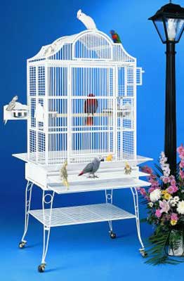 136 Bird Cage