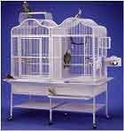 208 Parrot Cage