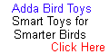 Adda Bird Toys click here