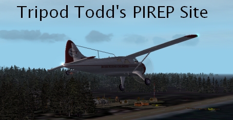 Welcome to Tripod Todd's PIREP site!