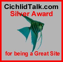 CichlidTalk.com's Great Site award