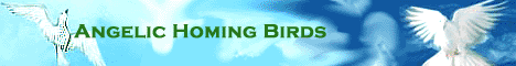 Angelic Homing Birds Banner