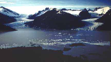 Norris and Taku Glaciers flow to salt water, separated by a mountain.  Ice fields lie above the glaciers and icebergs dot the water in front of them.