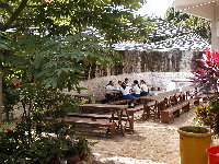 bilingual school of cozumel The La Ceiba picnic area