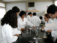 Cozumel bilingual school using the lab