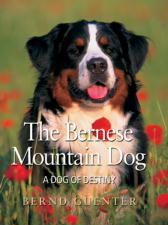 Bernd Guenter's Book, The Bernese Mountain Dog