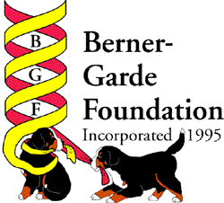 B-G Logo
