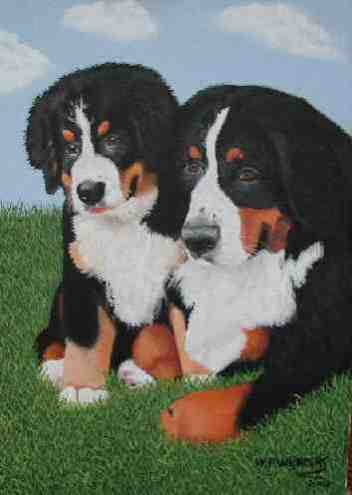 Mother and daughter Bernese