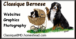 Classique BMD Animations and pictures of Bernese Mountain Dogs