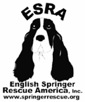 English Springer Rescue of America