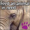 Feed an Animal in Need