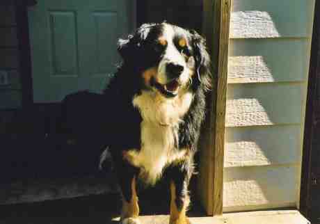 Berner, Roxanne, missing Mick sadly lost to MH