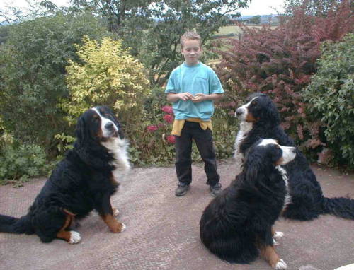 James and the BMD's