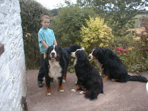 James and my dogs!