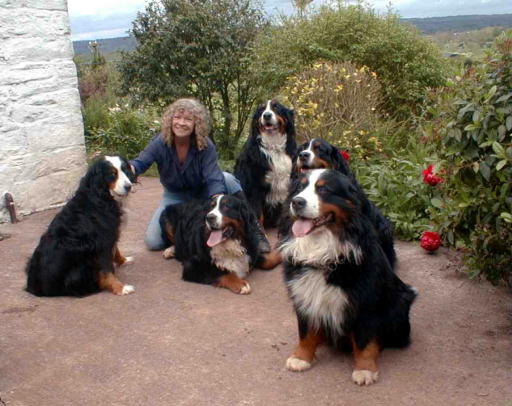 5 Berners and Me!