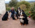 Me and five Bernese
