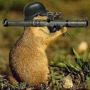 Squirrel Bazooka!!!!!!!!!