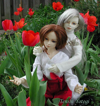 [Luka and Oji surrounded by red Tulips]