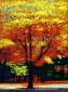 Chestnut-tree in Autumn
