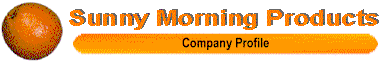 Company Profile Logo