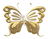 butterfly.gif (4592 bytes)