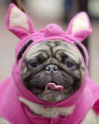 iklan boneka anak-anak