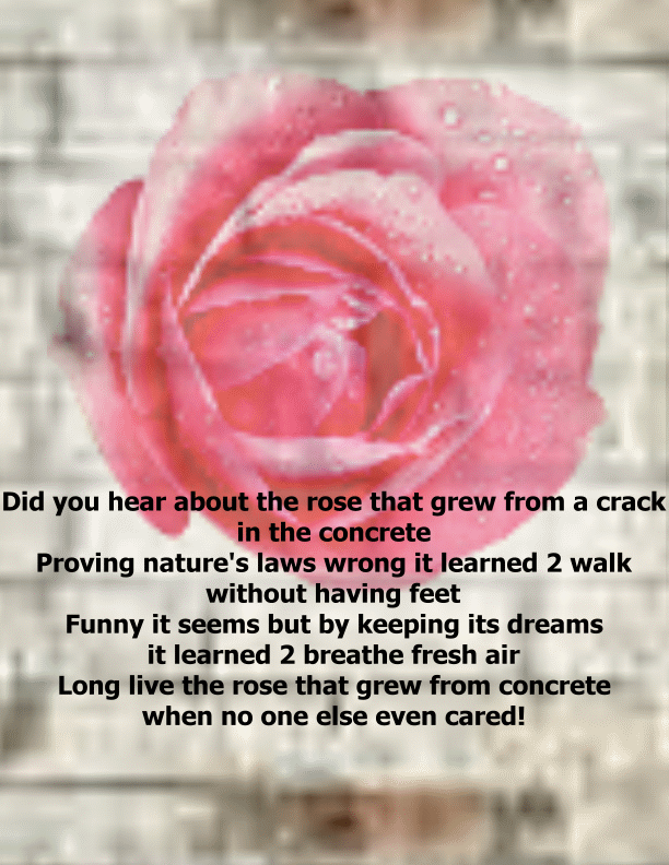 Rose-Poem