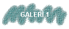 GALER 1