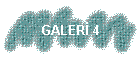 GALER 4