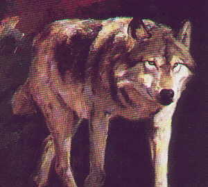 outofdarkwolf
