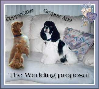 The wedding proposal