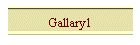 Gallary1