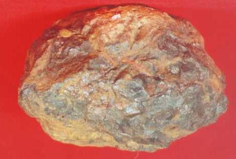 NT4250.jpg (21577 bytes)