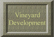 Vineyard Development