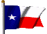 Waving Texas Flag