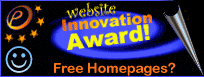 Website Inovation Award