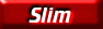 SLIM-Lead Singer