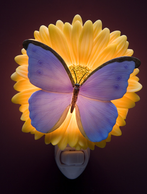 Blue Butterfly on a Gerber Daisy Night Light