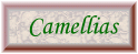 camellia button